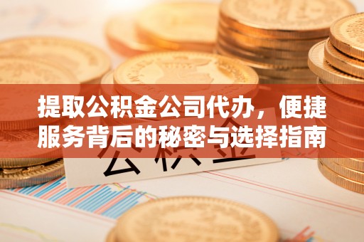 全南提取公积金公司代办，便捷服务背后的秘密与选择指南