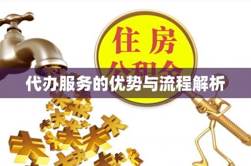 全南代办服务的优势与流程解析