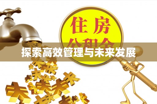 全南探索高效管理与未来发展
