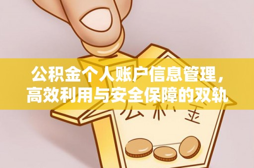 全南公积金个人账户信息管理，高效利用与安全保障的双轨并行