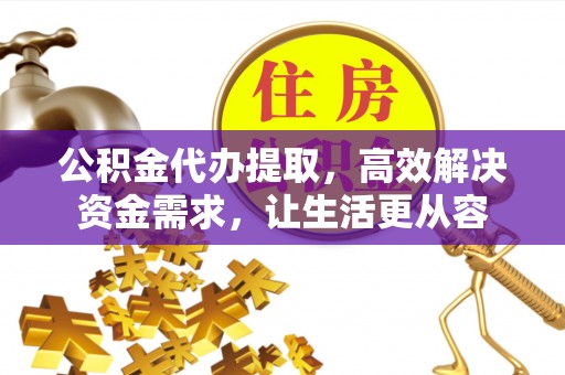 全南公积金代办提取，高效解决资金需求，让生活更从容