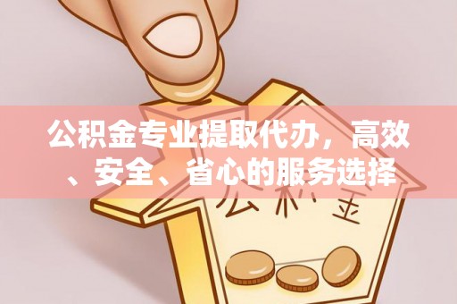 全南公积金专业提取代办，高效、安全、省心的服务选择
