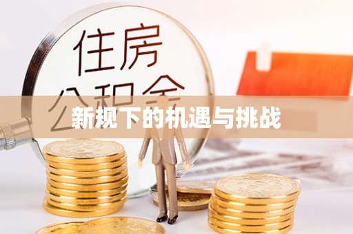 全南新规下的机遇与挑战