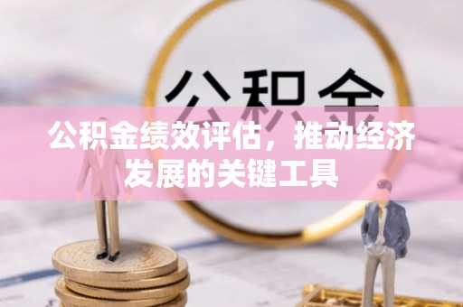 全南公积金绩效评估，推动经济发展的关键工具