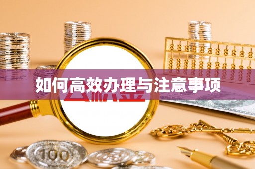 全南如何高效办理与注意事项