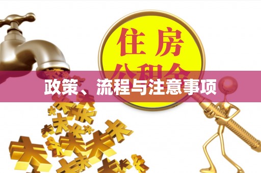 全南政策、流程与注意事项