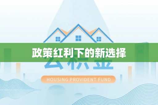 全南政策红利下的新选择