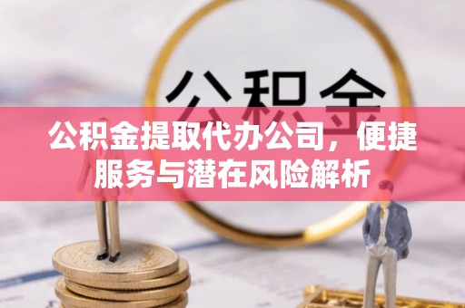 全南公积金提取代办公司，便捷服务与潜在风险解析