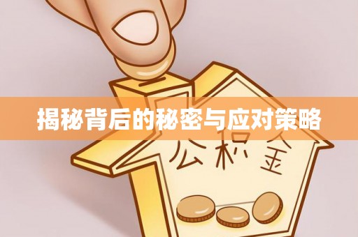 全南揭秘背后的秘密与应对策略