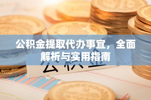 全南公积金提取代办事宜，全面解析与实用指南