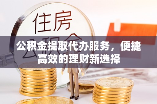 全南公积金提取代办服务，便捷高效的理财新选择