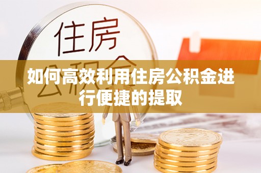 全南如何高效利用住房公积金进行便捷的提取