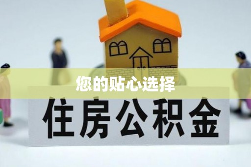 全南您的贴心选择