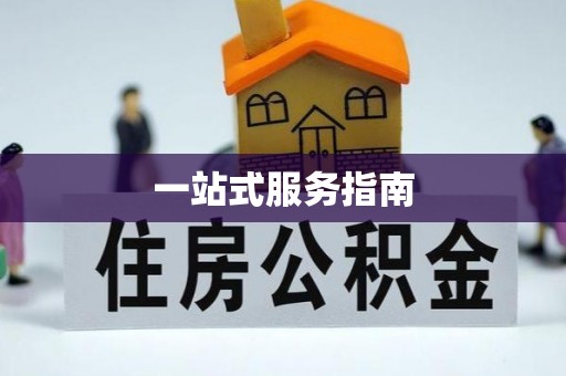 全南一站式服务指南