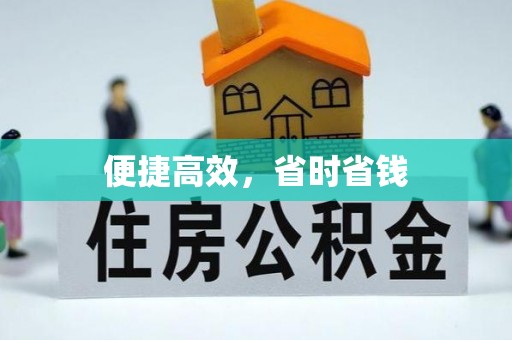 全南便捷高效，省时省钱
