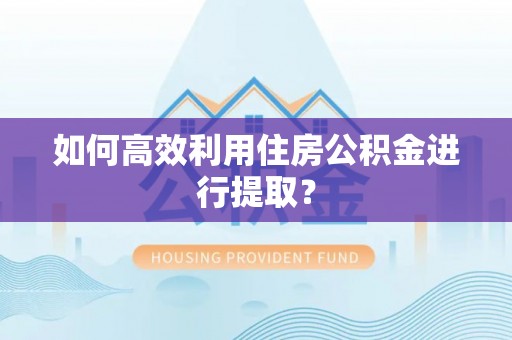 全南如何高效利用住房公积金进行提取？