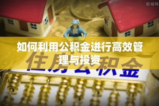 全南如何利用公积金进行高效管理与投资
