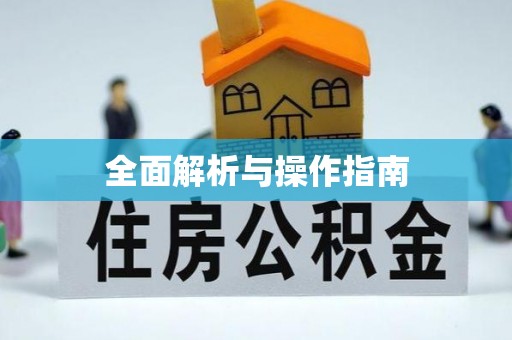 全南全面解析与操作指南