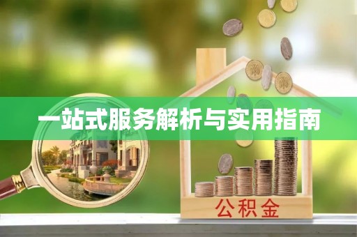全南一站式服务解析与实用指南