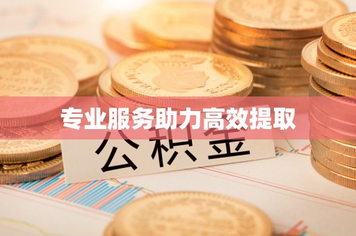 全南专业服务助力高效提取