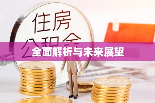 全南全面解析与未来展望