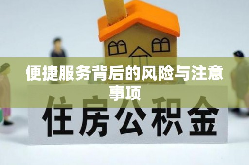 全南便捷服务背后的风险与注意事项