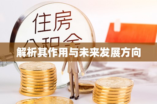 全南解析其作用与未来发展方向