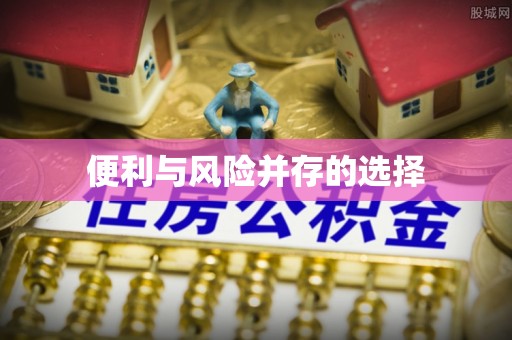 全南便利与风险并存的选择