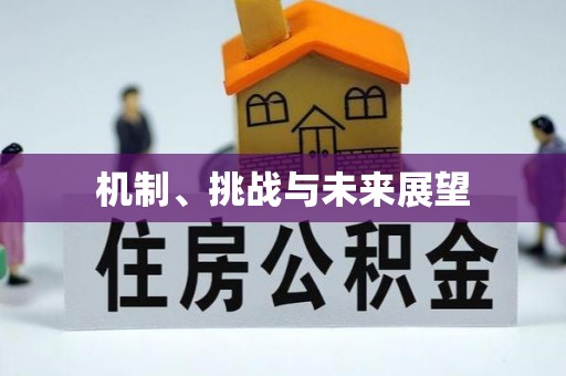 全南机制、挑战与未来展望