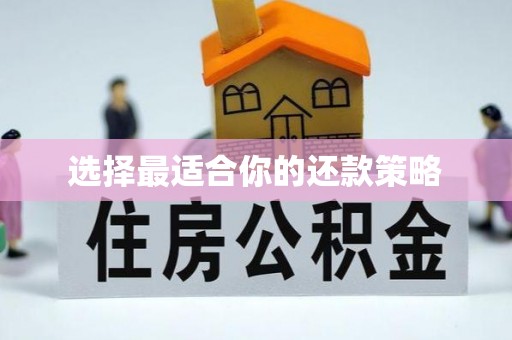 全南选择最适合你的还款策略