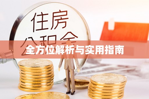 全南全方位解析与实用指南