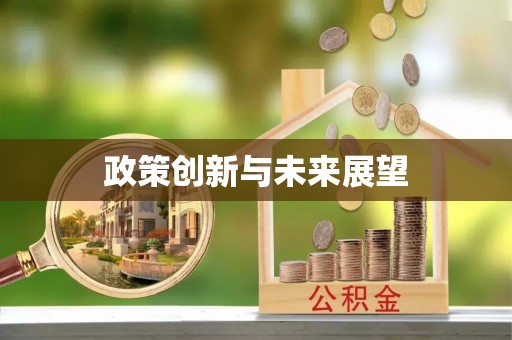 全南政策创新与未来展望