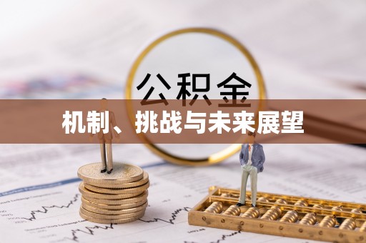 全南机制、挑战与未来展望