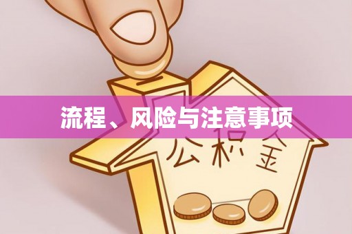 全南流程、风险与注意事项