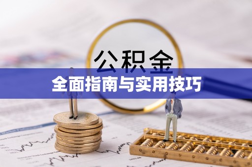 全南全面指南与实用技巧