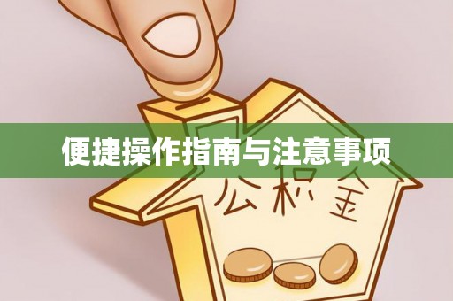 全南便捷操作指南与注意事项
