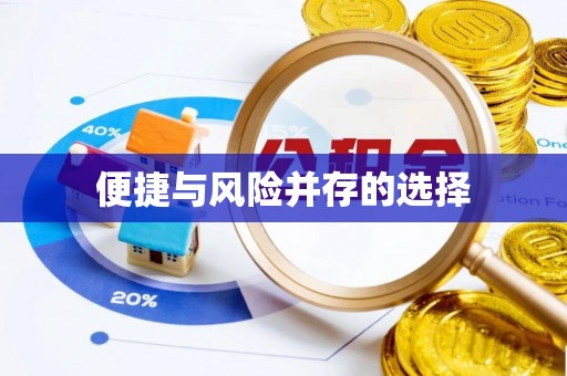 全南便捷与风险并存的选择
