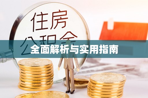 全南全面解析与实用指南