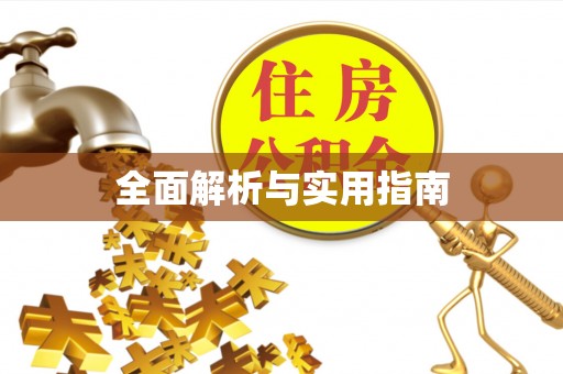 全南全面解析与实用指南