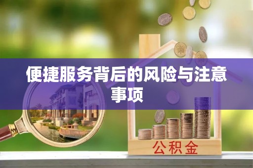 全南便捷服务背后的风险与注意事项