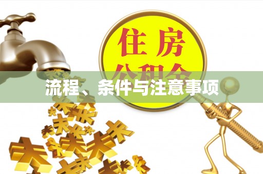 全南流程、条件与注意事项