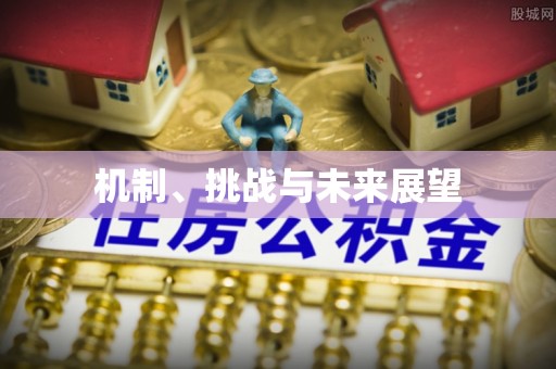 全南机制、挑战与未来展望